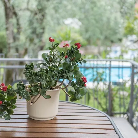 شقة Casa Stefi N1 *